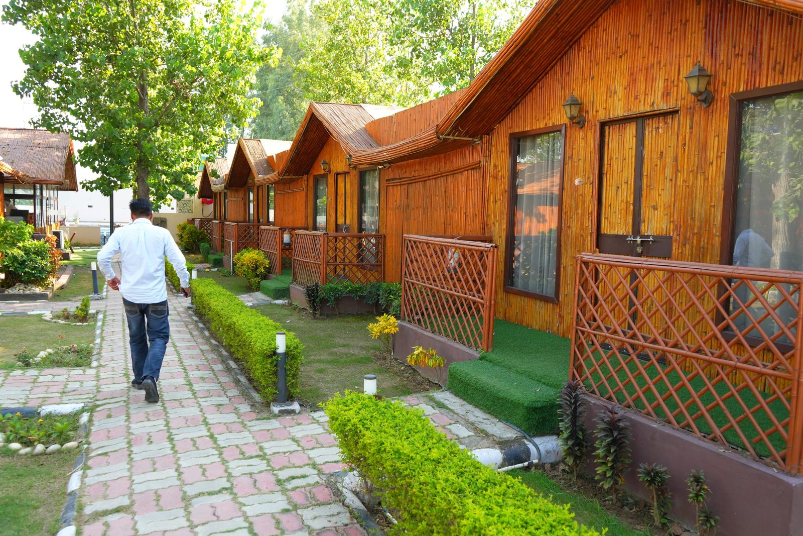 The planted path between the huts at Highway Huts